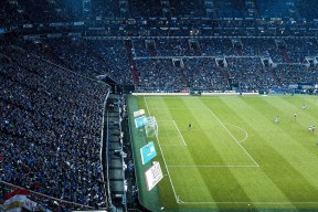 公牛调整攻防节奏增强转换能力，公牛加强版