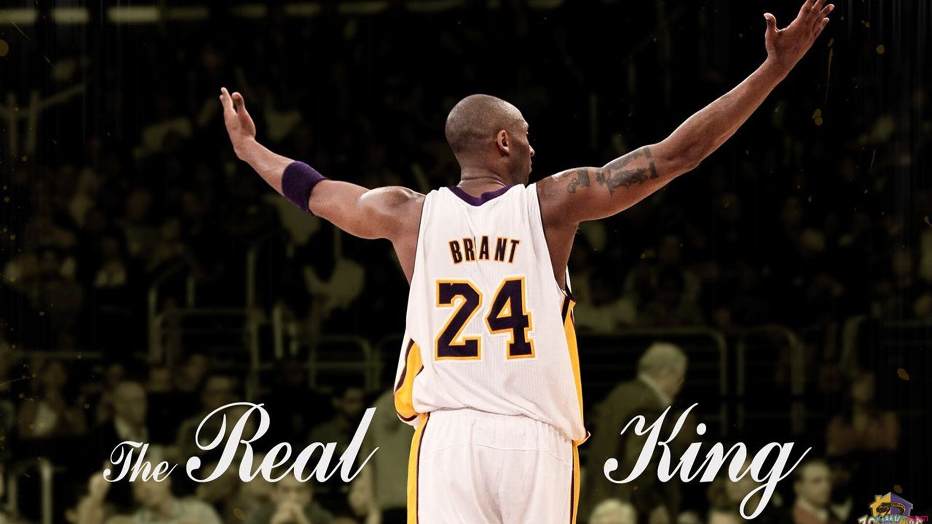 快船球员自制视频总结个人训练计划内容详实,快船球队球员