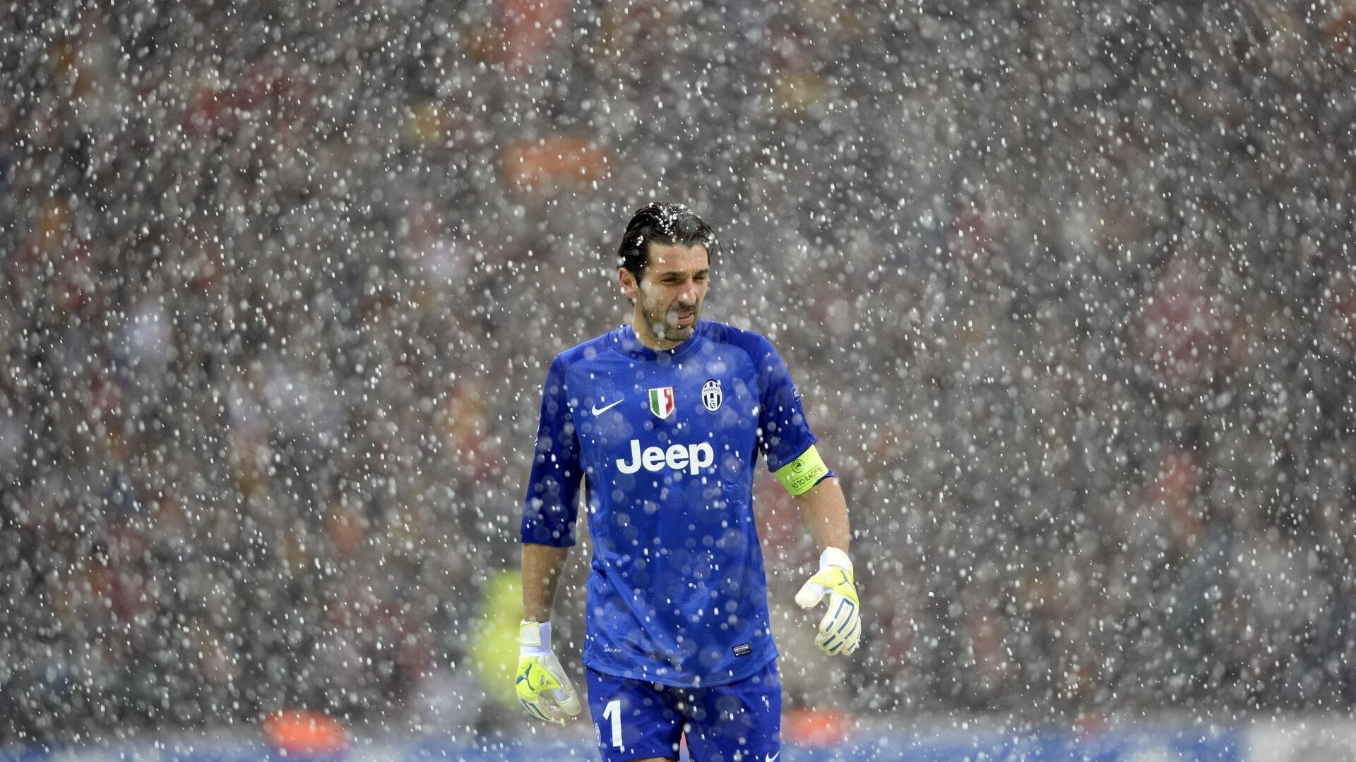 澳大利亚袋鼠队的战术打法越发成熟，成全球橄榄球新力量，澳洲袋鼠打拳击